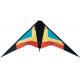 Special Pattern Polyester Kite , Easy Assembled Delta Wing Kite 120*60CM