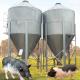 5 Layers Grain Silo Livestock Feeding Equipment 3200mm Diameter