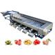 Industrial Tomato Roller Sorting Machine For Fruits And Vegetables Processing Line SUS304