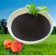 PH7~9 Chelated Iron Organic Amino Acid Powder