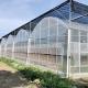 Steel Structure Agricultural Multi Span Greenhouse Hydroponics with Easy Installation