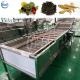 automatic groundnut turmeric cleaning machine automatic fruit and vegetable washing machine