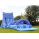 Giant Inflatable Water Slide , Adult Size Inflatable Water Slide