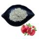 Safe 40% Pomegranate Extract Ellagic Acid Pomegranate Peel Extract Anti Oxidation