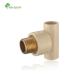 CPVC Fittings Male Tee with Brass Thread Customization Customized Request Customization