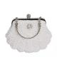 White Shell Shape Pearl Hand Bags Hand Woven For Women 22cm length 18cm height