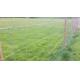 Flat Surface Stainless Steel Mesh Sheet Grassland Mesh Animal / Farm Fence