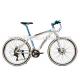 Mens Foldable Lightweight Aluminum Mountain Bike For Adult