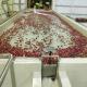 Multifunctional Fully Automatic Apple Sauce Production Line For Food Processing Plants