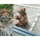 Stainless steel rope mesh the safest zoo wire mesh