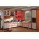 Modern Elegant Solid Wood Kitchen Cabinet with Excellent Design and Quality