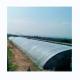 Single Span Agricultural Greenhouses Durable For Winter Vegetable Production