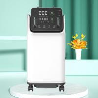 Health Care 10L Oxygen Concentrator 10 Litre Portable Personal Use