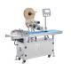 Page Automatic Flat Labeling Machine With 300mm Width Conveyor Belt