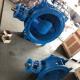 Customized Double Flanged Concentric Eccentric Butterfly Valve for Optimal Performance