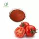 Supply 100% Pure Bulk Low Price Supplement Tomato powder Lycopene 5%-20%