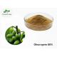 Pure Health Powder Olive Leaf Extract Oleuropein 80% With Good Water Soluble