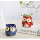 Succulent Plant Mini Ceramic Owl Animal flowerPot