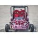 110cc Kids Off Road Go Kart Two Seats Rear Rack With CVT Transmission / Reverse