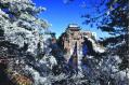 Rime on the pines lightens Jiuhua Mountain