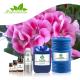 ODM Rose Geranium Essential Oil Skin Care Fragrance Aromatherapy