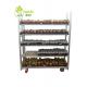 Pull Net Shelf Dutch Flower Trolley For Storage Nursery Display