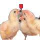 Automatic Nipples Water Drinking system poultry feeder for pig animals