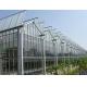 Agriculture Multi Span Venlo Glass Polycarbonate Sheet Greenhouse With Hydroponic System