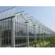 Aquaponics Venlo Glass Greenhouse With Full Roof Windows Ventilation System