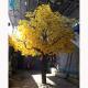 Faux Indoor Ginkgo Tree , Fiberglass Trunk Autumn Gold Ginkgo 5-10 Years Life Time