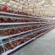 Galvanized A Type 120 Chicken Layer Battery Cage System Multilayer Doris