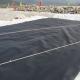50-200m Length Durable HDPE Geomembrane in Black for Water Storage Tanks and Fish Ponds