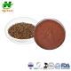Grape Seed Extract Powder 95% OPC Powder Vitis Vinifera Powder Antiaging