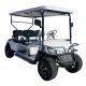 Golf cart factory production foreign trade golf carts
