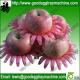 EPE flower petalfor apple/ pear/peach/orange/tomatoes