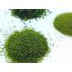 Food Grade Ulva Lactuca Organic Premium Nori Aonori Dried Seaweed To Sprinkle Over Japanese Food