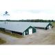 Single Steel Sheet Farm Steel House for Livestock Shelter in Agricultural Metal Buildings