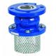 DN15 ~DN300 Stainless Steel Foot Valve With Screen Strainer Epoxy Powder Coating