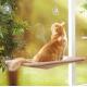 Cute Comfortable Hanging Pet Bed Bearing 20kg Window Mounted Cat Bed