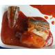 Canned Pacific Mackerel In Tomato Sauce
