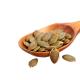 Manufacturers sell a large number of high-quality green pumpkin seeds in bulk amazon