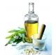 food /pharma grade pure garlic oil from garlic seed