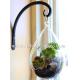 Teardrop glass terrariums hanging vase Glass Air plant holders