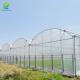 Commercial Plastic Multi Span Agricultural PO Film Greenhouse Accessories