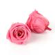 AAA Grade 100 Colors 4-5cm Real Touch Eternal Roses For Party Wedding Decoration