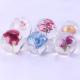 Dia80mm Dia90mm Flower Paperweight Clear Solid Epoxy Resin Sphere