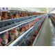 Automatic Layer Chicken Cage Poultry Battery Cage System In Botswana Farm