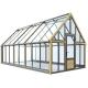 Backyard Light Dep Greenhouse For Vegetables With Roof Ventilation System