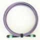 12 Cores MPO Patch Cable OM4 50/125μM 3.0mm LSZH Purple For Data Center Cabling