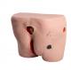 Pressure Decubitus Ulcers Care Bedsores Nursing Manikin